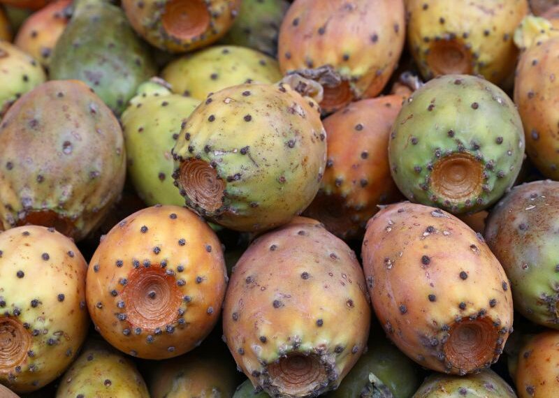 Fichi d'India, bontà tutta da gustare in estate