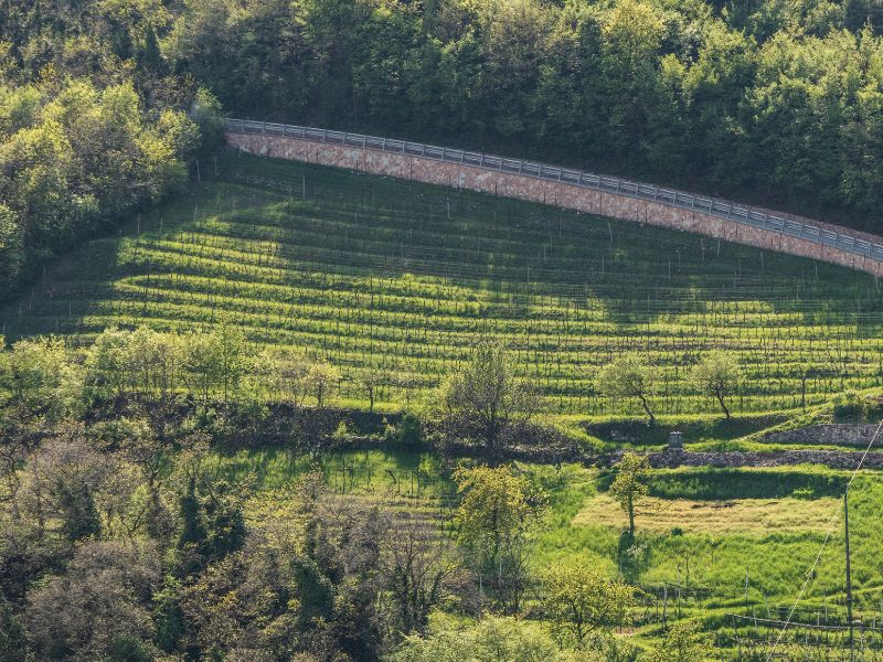 “Trentodoc in Cantina”: 42 case spumantistiche aprono le porte agli amanti delle bollicine