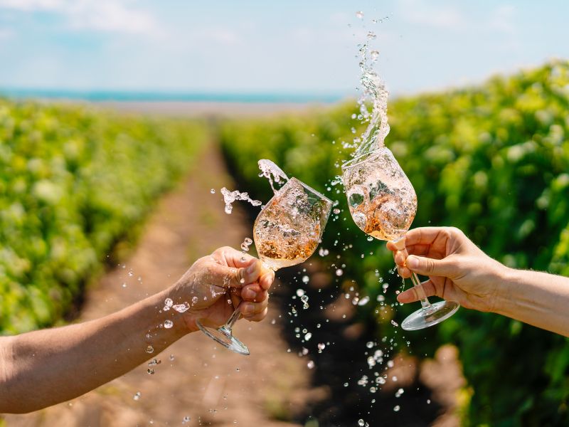 Una nuova eccellenza dalla vigna più antica di Venezia