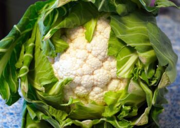 Il Cavolfiore della Piana del Sele è ufficialmente Igp