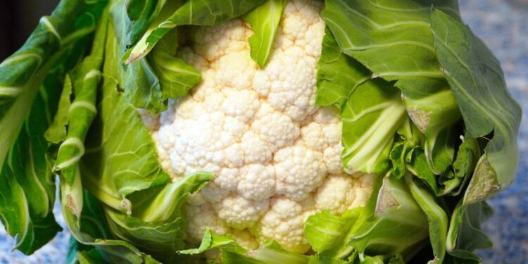 Il Cavolfiore della Piana del Sele è ufficialmente Igp
