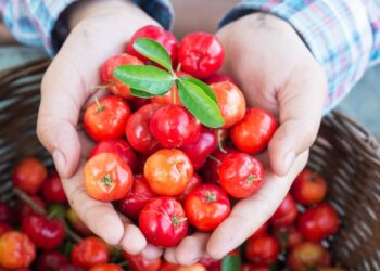 L’acerola è sempre più apprezzata anche in Italia: i benefici della ciliegia esotica