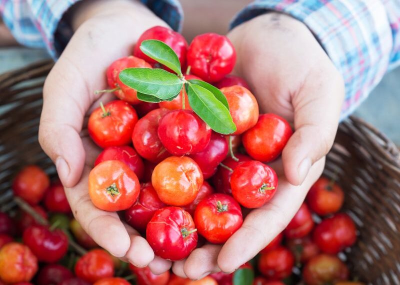 L’acerola è sempre più apprezzata anche in Italia: i benefici della ciliegia esotica