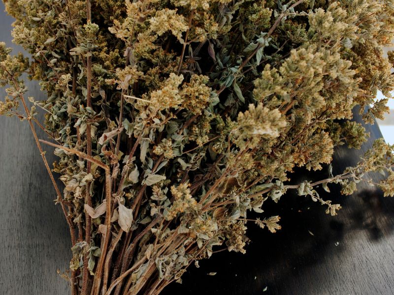 L’origano è una pianta aromatica con tanti benefici