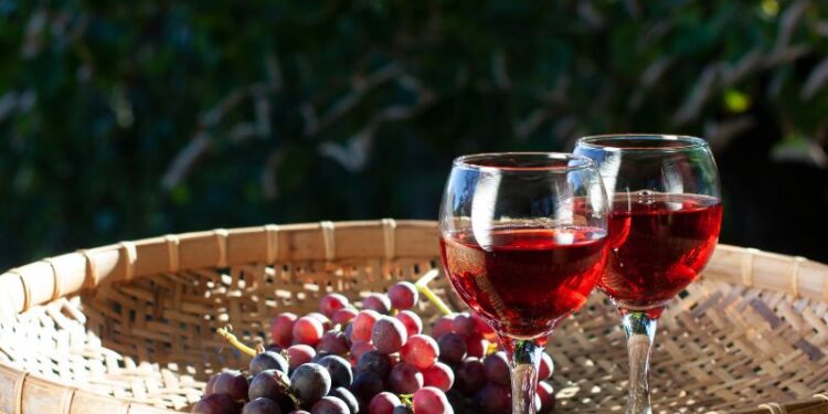 Chianti Academy Latam, in Messico i nuovi esperti di vino