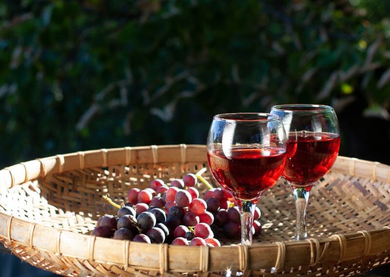 Chianti Academy Latam, in Messico i nuovi esperti di vino