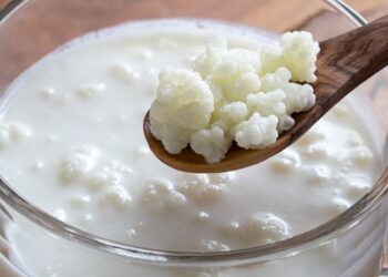 I migliori fermenti lattici