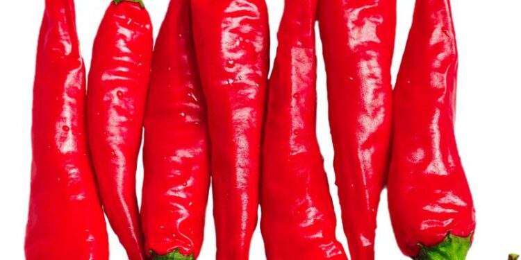 A Rieti la fiera mondiale del peperoncino 2024