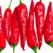 A Rieti la fiera mondiale del peperoncino 2024