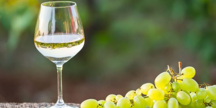 Valtidone Wine Fest: alla scoperta dei vini piacentini