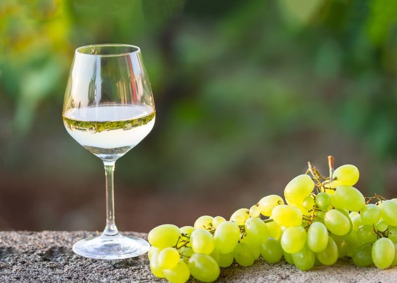 Valtidone Wine Fest: alla scoperta dei vini piacentini