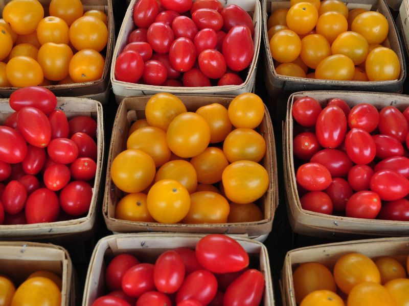 "Goccia Verde " per il Pomodoro di Pachino
