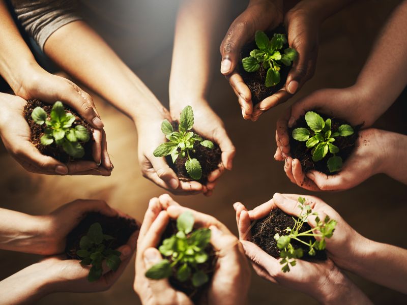 Terra Madre slow food