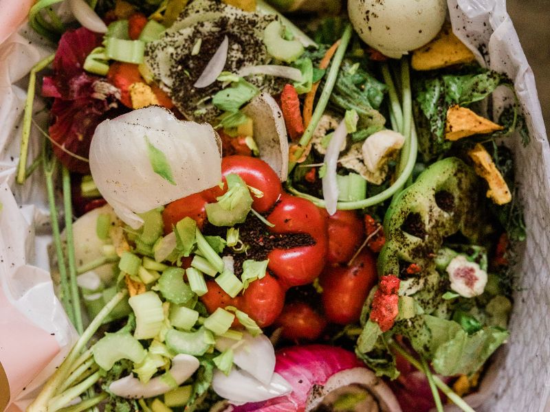 Spreco alimentare: Centro e Sud Italia i più spreconi