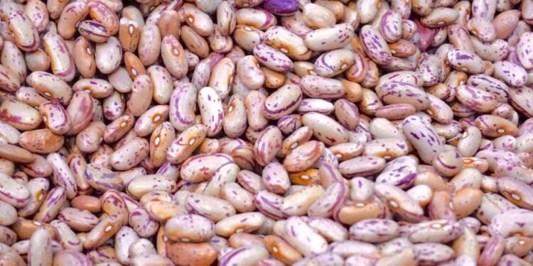 L’Irpinia festeggia il fagiolo quarantino della Valle del Dragone