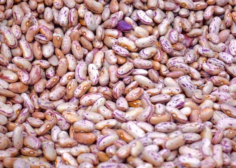 L’Irpinia festeggia il fagiolo quarantino della Valle del Dragone