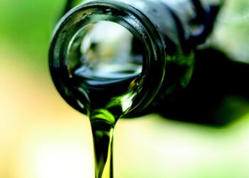 Vino e olio di qualità in Lombardia: tesori da scoprire