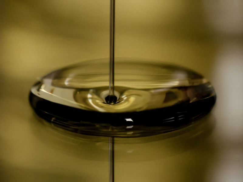 Vino e olio di qualità in Lombardia: tesori da scoprire