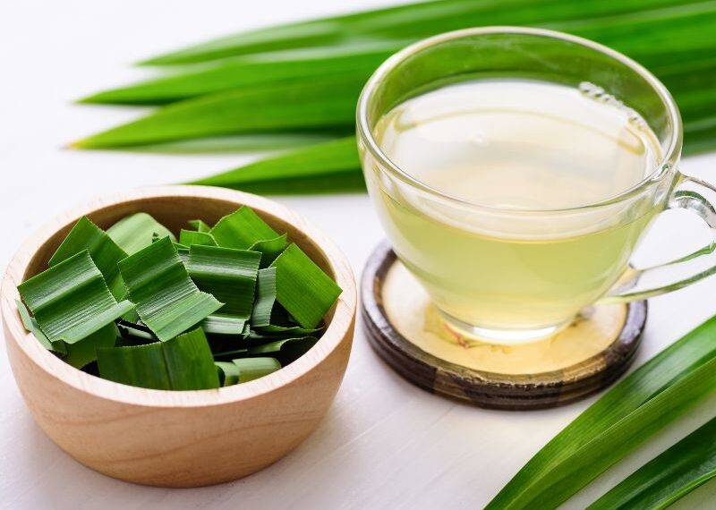 Il pandan, l’ingrediente segreto della cucina del Sud-Est asiatico