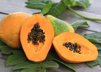 La Sicilia si dà all’esotico: ora si coltivano papaya, mango e avocado