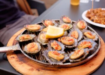 Le patelle, frutti di mare poco conosciuti ma molto saporiti