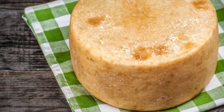 Il Pecorino Romano Dop mette le ali alla produzione