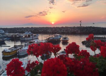 angelo's bar massa lubrense