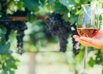 Il vino e la Bibbia, un percorso per conoscere l'antico legame