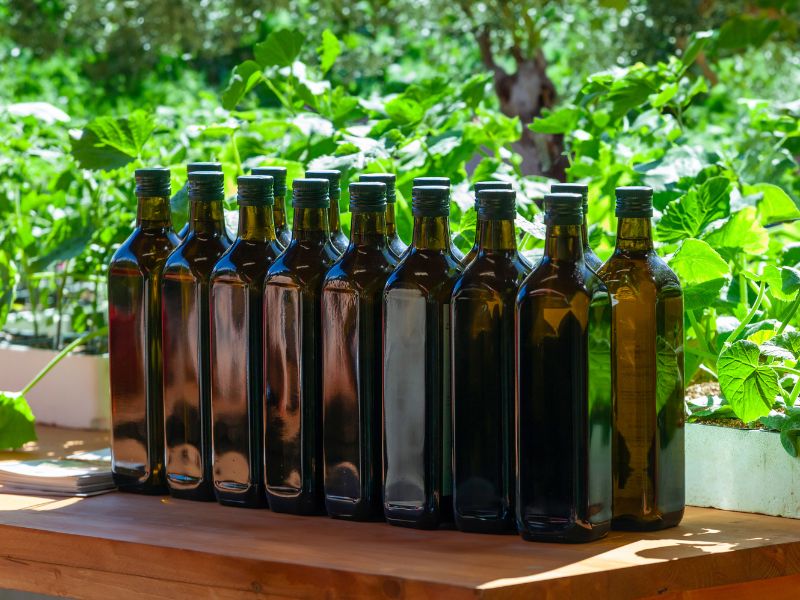 Olio toscano IGP
