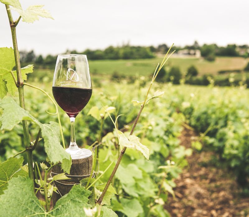 Vino, Voghera celebra “50 Sfumature di Pinot Noir”