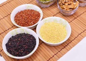 Vercelli: nel 2025 sarà Capitale mondiale del riso