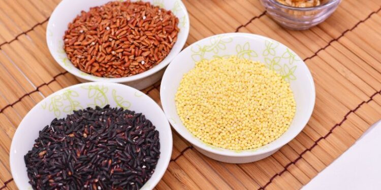 Vercelli: nel 2025 sarà Capitale mondiale del riso