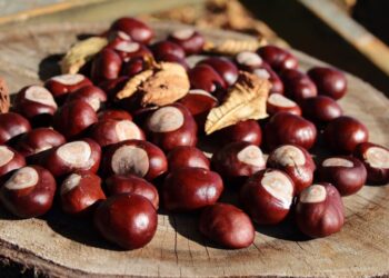 L’autunno è la stagione delle castagne: tante idee per gustarle