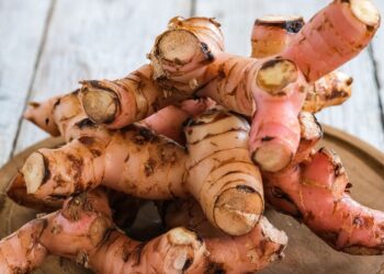 Il segreto della cucina thailandese e indonesiana? È la galanga