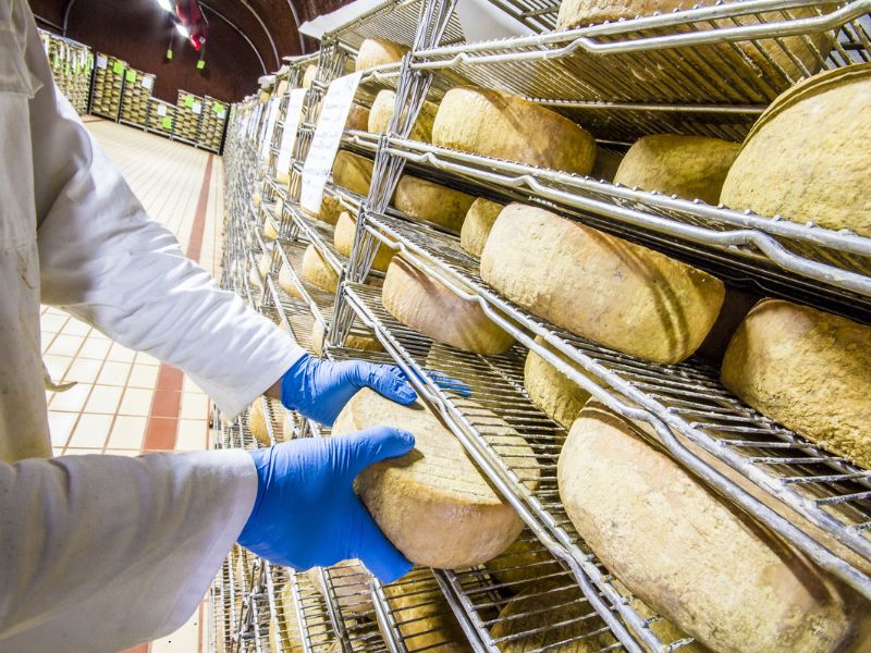 Il Pecorino Romano DOP, un’eccellenza italiana di oltre duemila anni