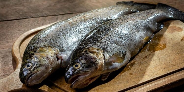 Trote: delizia d’acqua dolce in cucina