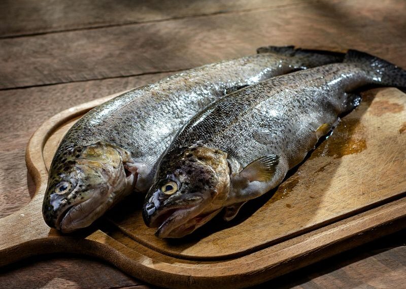 Trote: delizia d’acqua dolce in cucina
