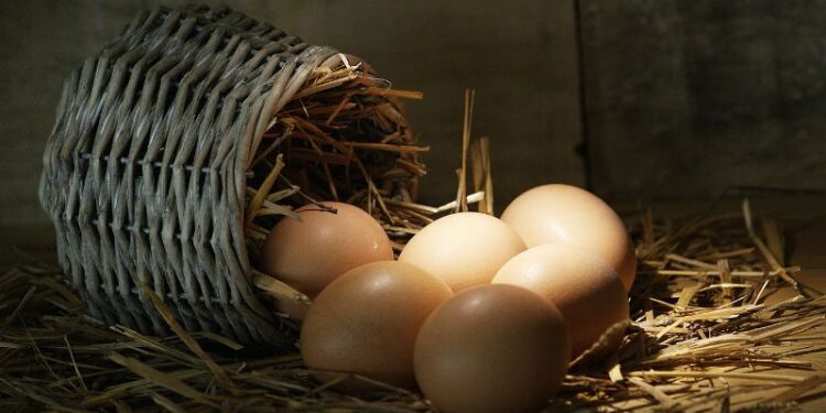 Uova: come capire quando vanno buttate