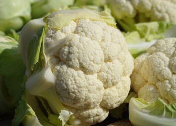 Cavoli, broccoli &C.: business da 805 milioni di euro