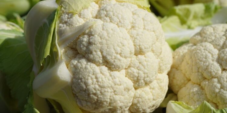 Cavoli, broccoli &C.: business da 805 milioni di euro