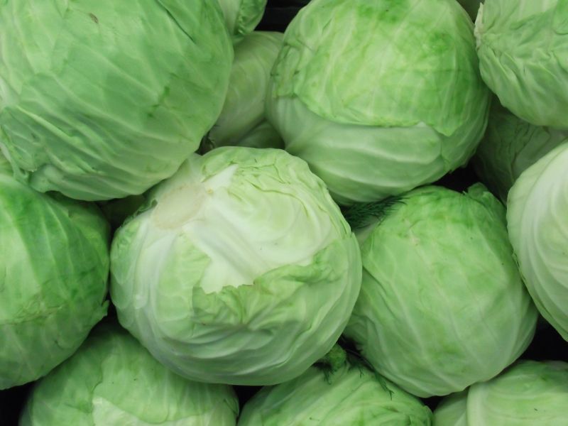 Cavoli, broccoli &C.: business da 805 milioni di euro