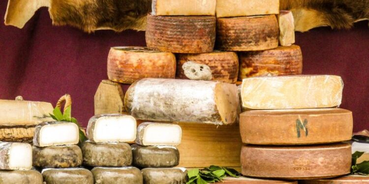 Pecorino o Parmigiano: qual è la scelta giusta in cucina?