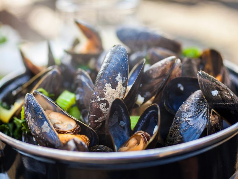 Piatti a base di pesce