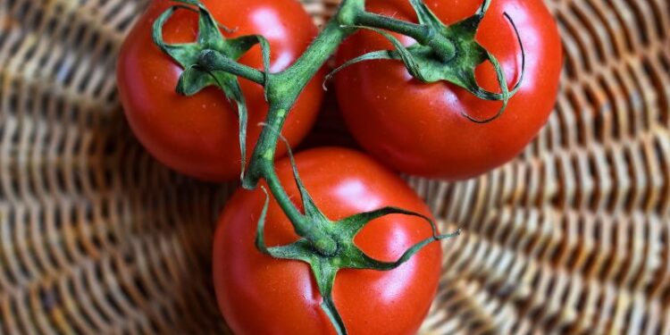 Pomodori più grandi e dolci grazie a due soli geni