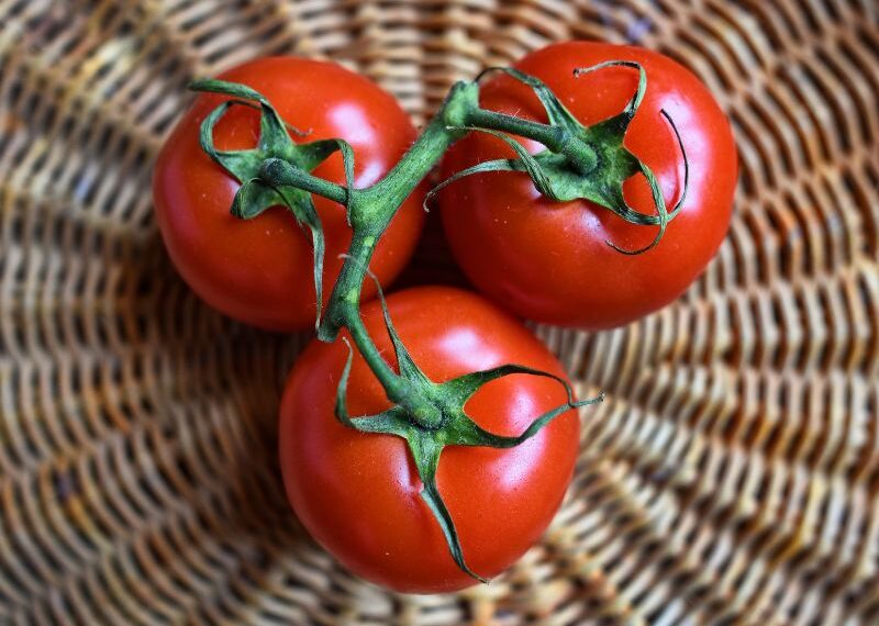 Pomodori più grandi e dolci grazie a due soli geni