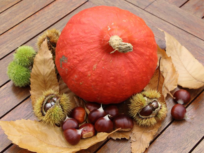 Risotto zucca e castagne
