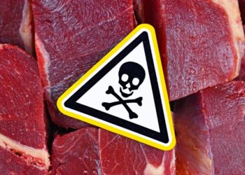 In Italia si riduce il consumo di carne (consumo carne)