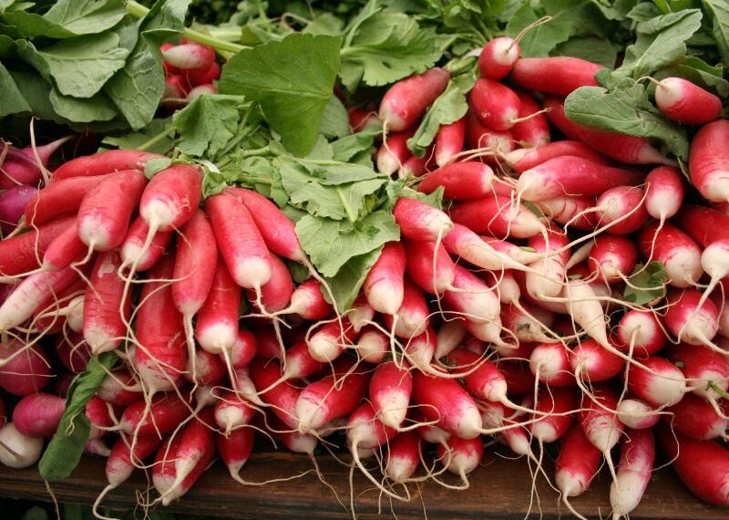 Il ravanello Candela di Fuoco: scopriamo le sue proprietà e come cucinarlo