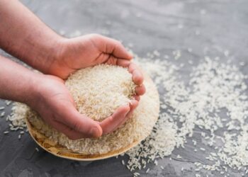 Aumentano i prezzi per il riso da risotto