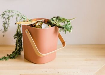 Cibo sprecato: l’impatto invisibile sul Pianeta